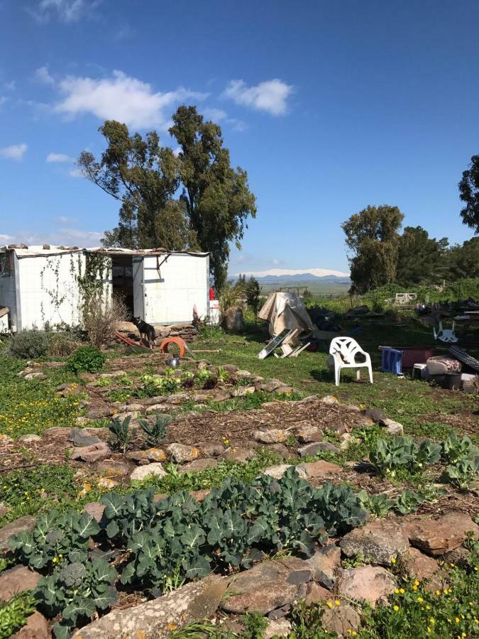 Natura-Eco Farm Luaran gambar