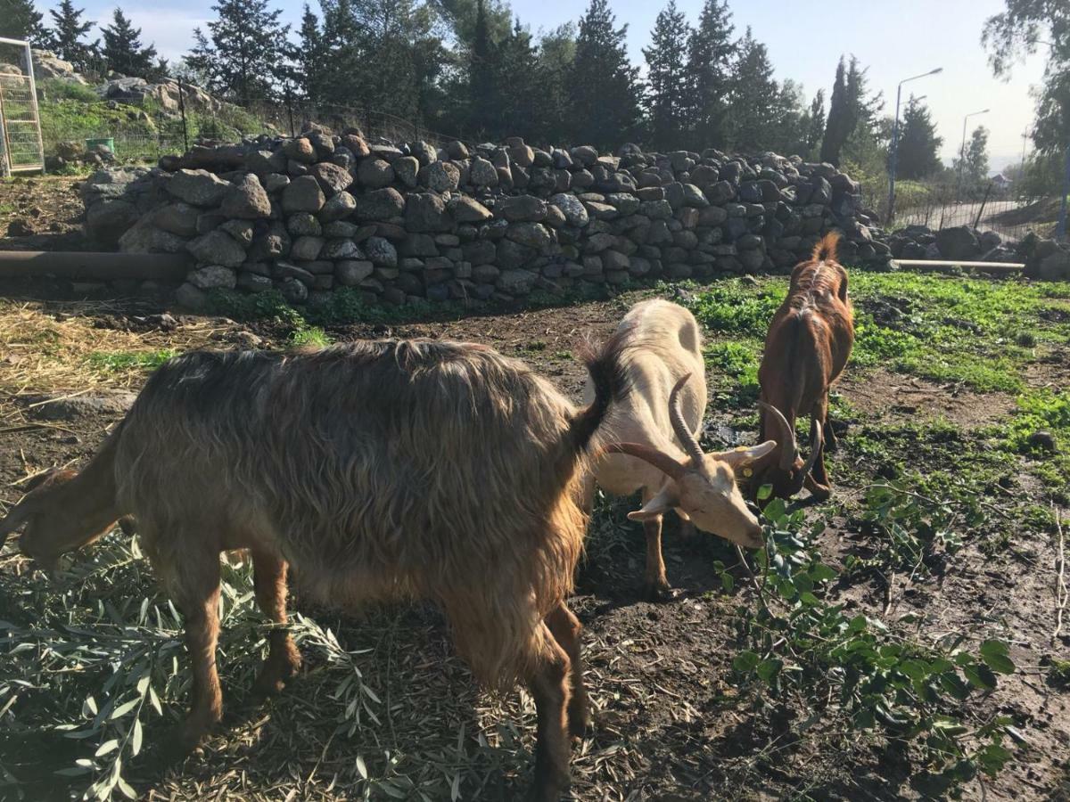 Natura-Eco Farm Luaran gambar